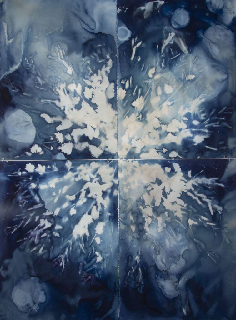 Christine Chin • <em>Alliaria petiolate (Circle)</em> • Cyanotype • 44″× 60″ • $6,000.00