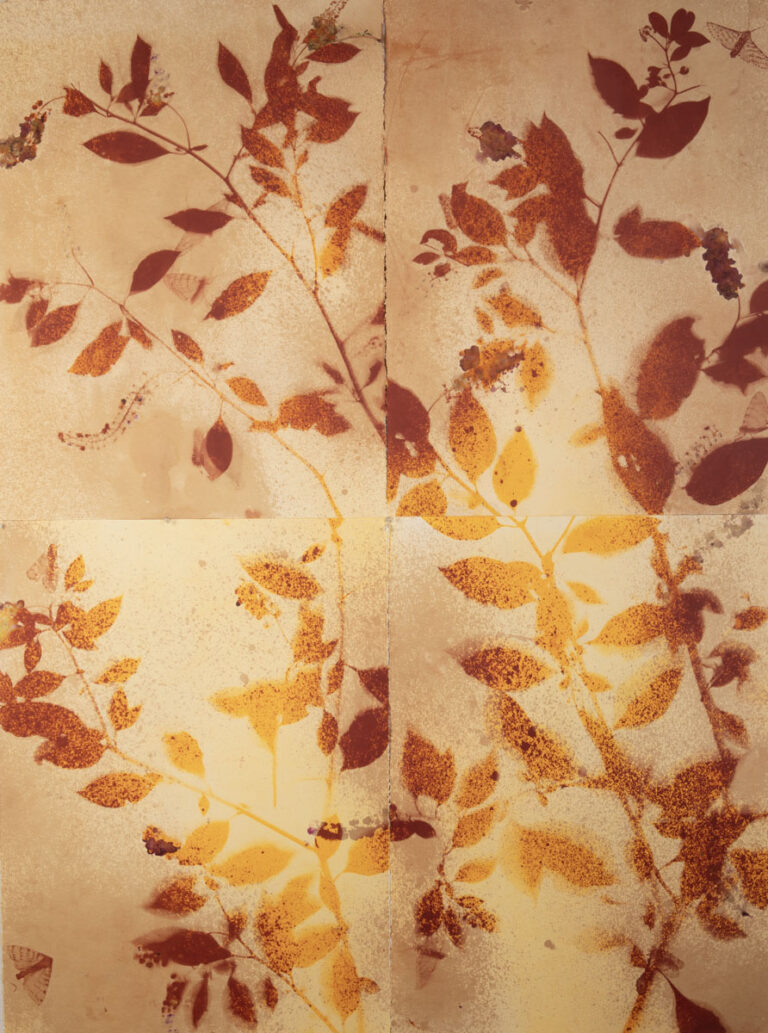 Pollinator Pair: Pokeweed and Giant Leopard Moth by Christine Chin