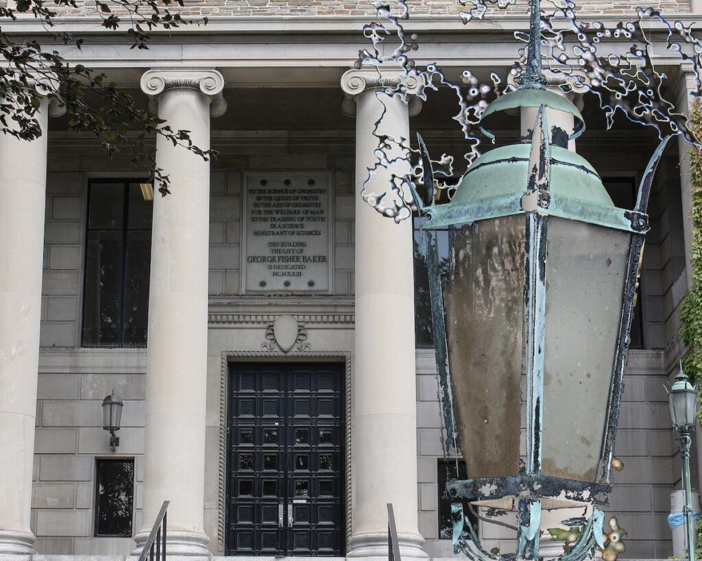 Nancy V. Ridenour • <em>Cornell Baker Lab</em> • Digital image on canvas • 20″× 16″ • $150.00