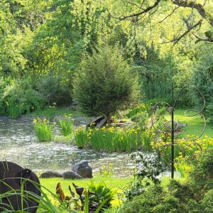 Nancy V. Ridenour&nbsp;• <em>Flag Iris Near Pond</em>&nbsp;• Digital image on canvas&nbsp;• 8″×&nbsp;8″&nbsp;• $35.00