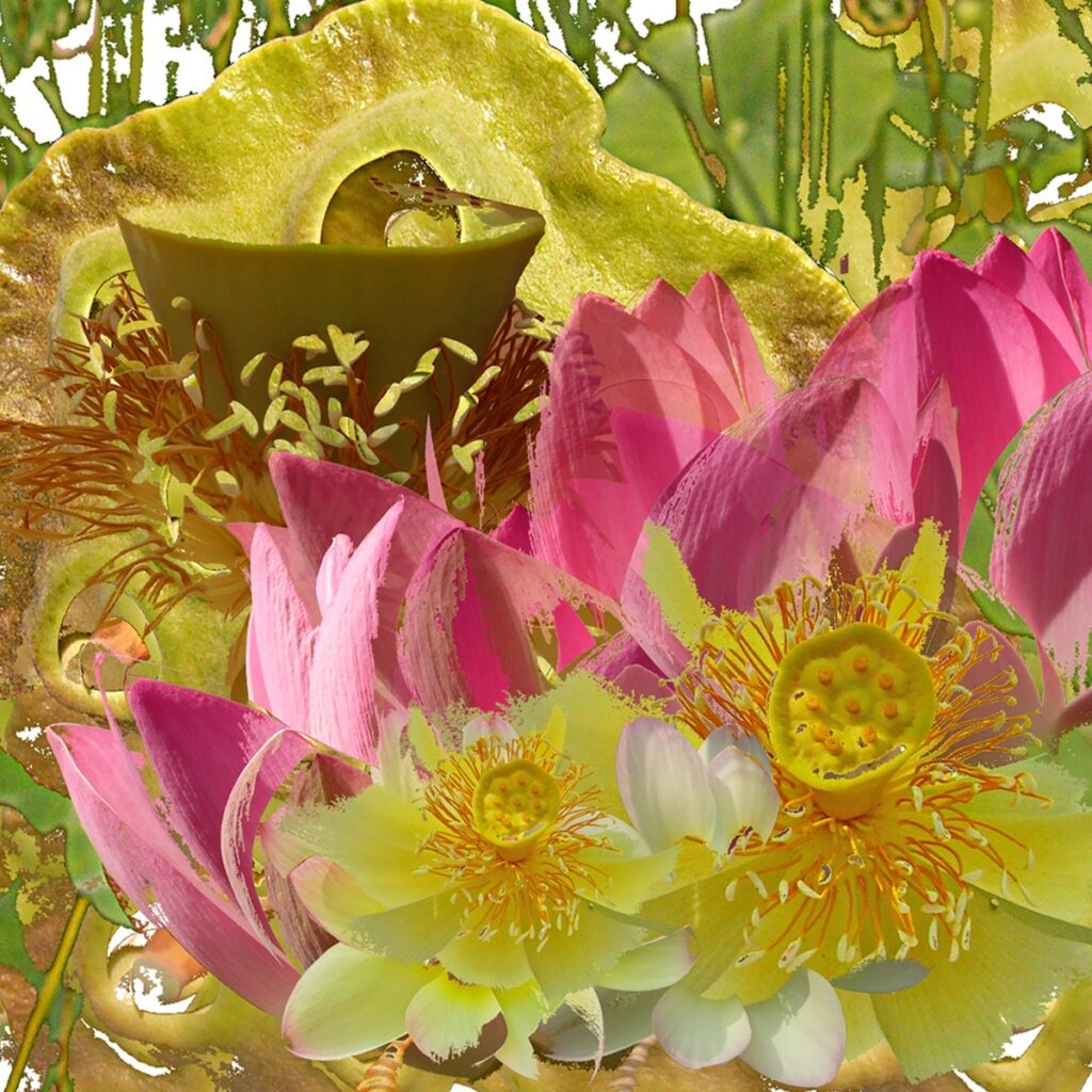 Nancy V. Ridenour • <em>Lotus Montage-3</em> • Digital image on canvas • 8″× 8″ • $35.00