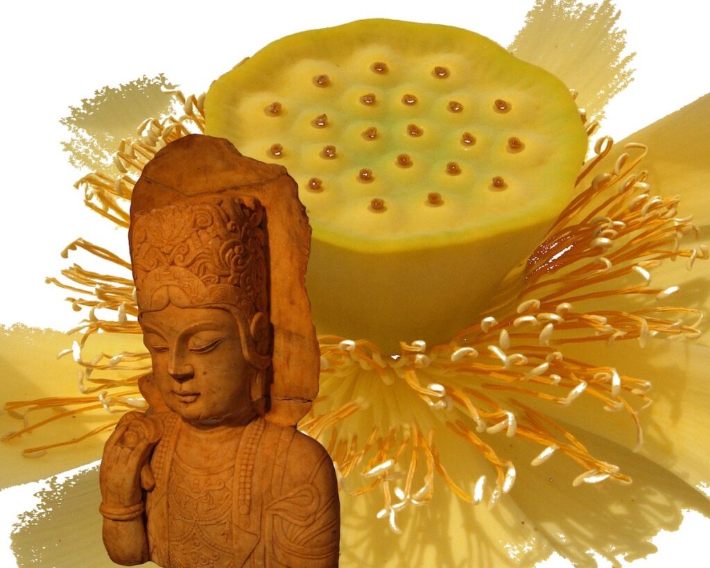 Nancy V. Ridenour • <em>Orange Buddha and Lotus</em> • Digital image on canvas • 20″× 16″ • $150.00