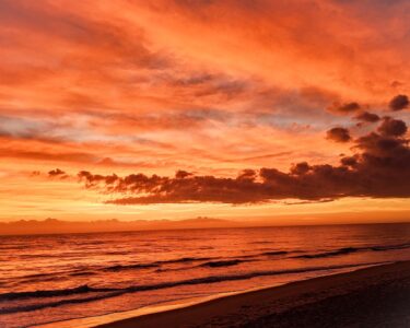 Nancy V. Ridenour&nbsp;• <em>Satellite Beach Sunrise-1</em>&nbsp;• Digital image on canvas&nbsp;• 20″×&nbsp;16″&nbsp;• $150.00