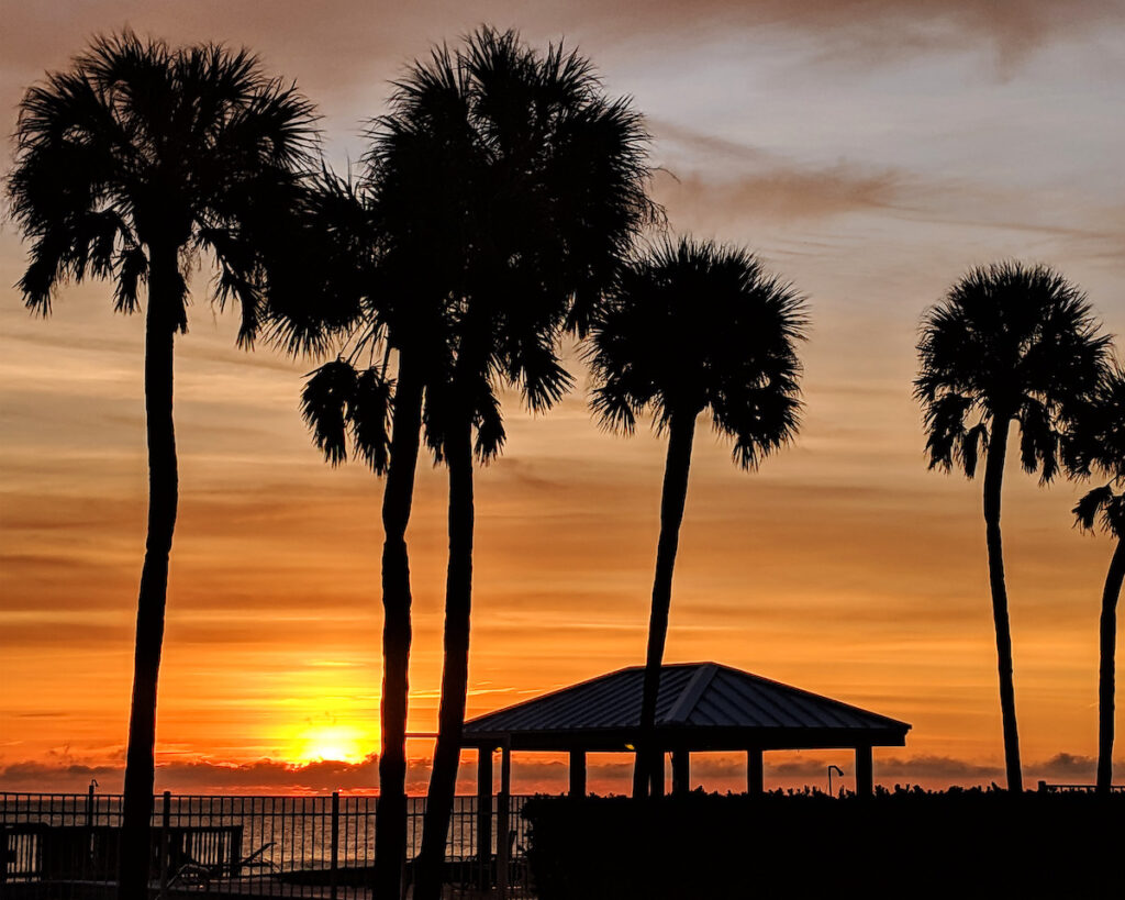 Nancy V. Ridenour • <em>Satellite Beach Sunrise-2</em> • Digital image on canvas • 20″× 16″ • $150.00