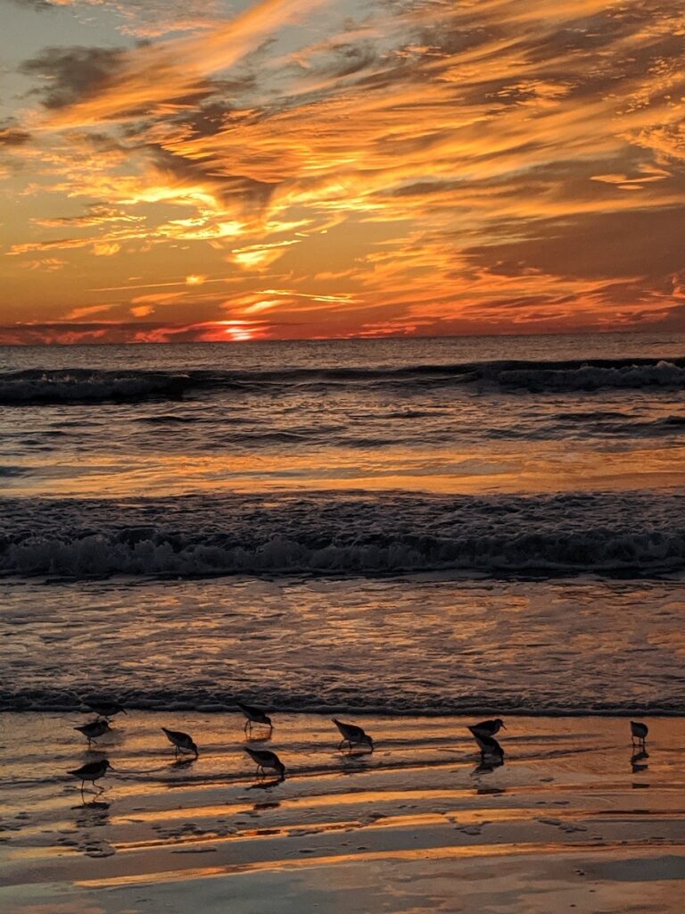 Nancy V. Ridenour • <em>Siesta Key Sunset</em> • Digital image on canvas • 24″× 36″ • $225.00