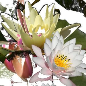 Nancy V. Ridenour&nbsp;• <em>Water Lily Montage</em>&nbsp;• Digital image on canvas&nbsp;• 8″×&nbsp;8″&nbsp;• $35.00