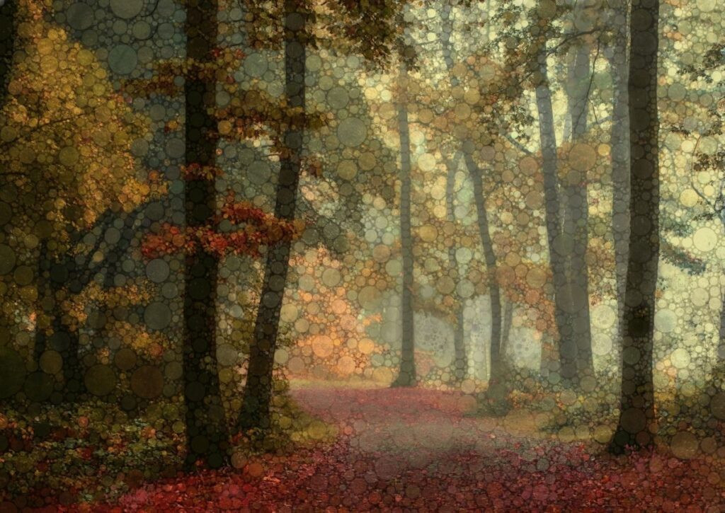 September Woodland by Daniel McPheeters