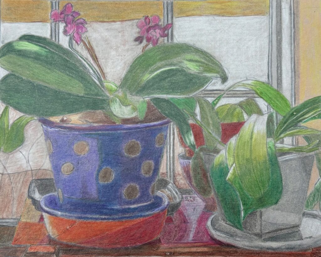 Gale Halpern&nbsp;• <em>My Orchid Collection</em>&nbsp;• Colored pencil on toned paper&nbsp;• 9¾″×&nbsp;7¾″&nbsp;• $180.00<a class="purchase" href="https://state-of-the-art-gallery.square.site/product/gale-halpern-my-orchid-collection/KRZHEHBQBBZFFIWKYXNSTWBS" target="_blank">Buy</a>