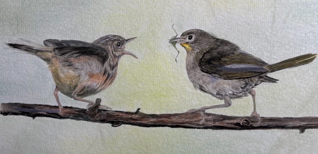 Gail Norwood&nbsp;• <em>Feeding Time</em>&nbsp;• Gouche on paper&nbsp;• 12″×&nbsp;14″&nbsp;• $130.00<a class="purchase" href="https://state-of-the-art-gallery.square.site/product/gail-norwood-feeding-time/76QKEFI2OIP5YAWJOOABT6HL" target="_blank">Buy</a>