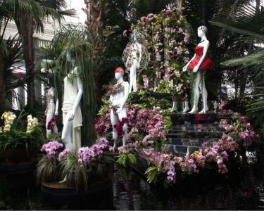 Nancy V. Ridenour&nbsp;• <em>NYBG Orchids 1</em>&nbsp;• Digital image on canvas&nbsp;• 20″×&nbsp;16″&nbsp;• $150.00