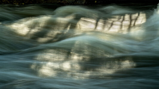 Keith Millman&nbsp;• <em>Unearth 13</em>&nbsp;• Archival ink jet print&nbsp;• 25″×&nbsp;19″&nbsp;• $290.00