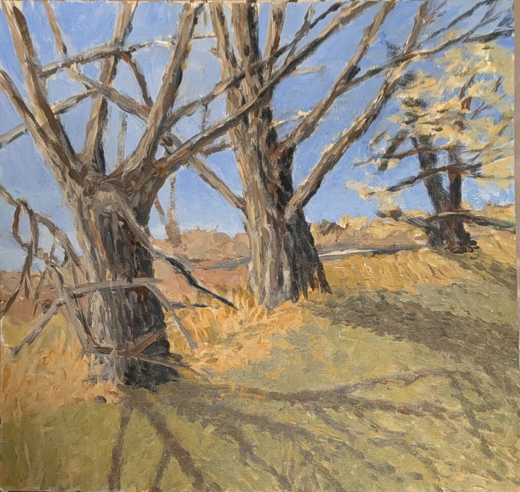 Diana Ozolins&nbsp;• <em>Hog Hollow Early Spring</em>&nbsp;• Acrylic on canvas&nbsp;• 12″×&nbsp;12″&nbsp;• $300.00<a class="purchase" href="https://state-of-the-art-gallery.square.site/product/diana-ozolins-hog-hollow-early-spring/OED4B2MMB3DMZWIUH3Q2R3QA" target="_blank">Buy</a>