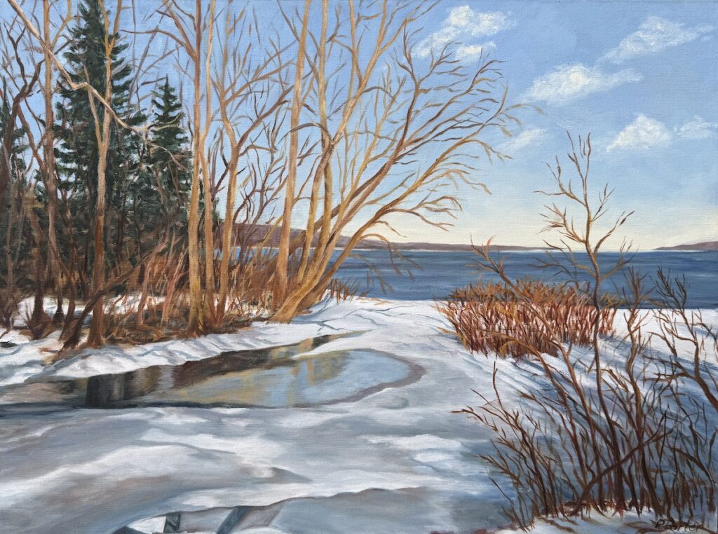 Patty L. Porter&nbsp;• <em>Frontenac Point ~ Winter</em>&nbsp;• Oil on canvas&nbsp;• 24″×&nbsp;18″&nbsp;• $550.00<a class="purchase" href="https://state-of-the-art-gallery.square.site/product/patty-l-porter-frontenac-point-winter/IIODCB72KG5KZBMALKKQAQY5" target="_blank">Buy</a>