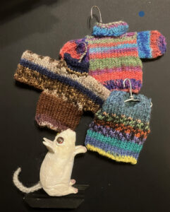 Margy Nelson&nbsp;• <em>Winter Wardrobe 1 (Mouse)</em>&nbsp;• Mixed media&nbsp;• 8″×&nbsp;8″×&nbsp;3″&nbsp;• NFS