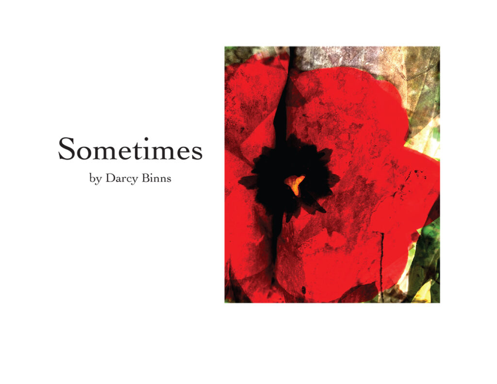 Darcy Binns&nbsp;• <em>Sometimes</em>&nbsp;• Book&nbsp;• 11″×&nbsp;8½″&nbsp;• $30.00