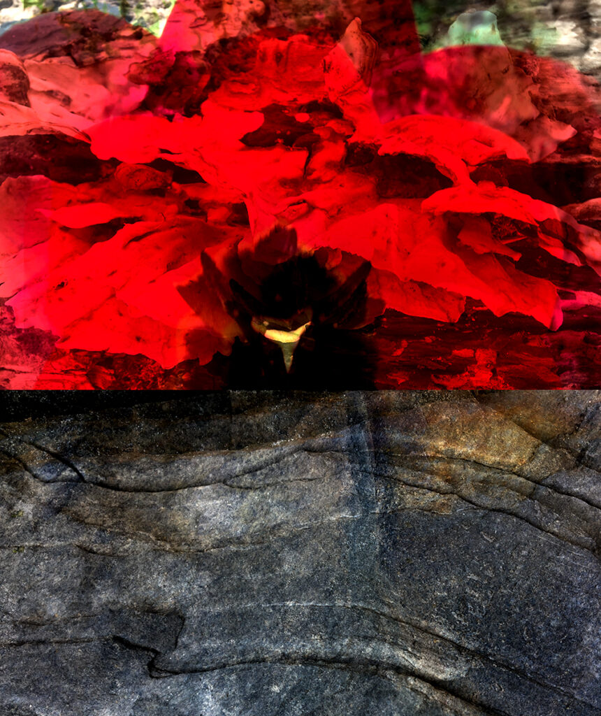 Darcy Binns&nbsp;• <em>Sometimes No. 170</em>&nbsp;• Archival pigment print, framed&nbsp;• 19″×&nbsp;25″&nbsp;• NFS