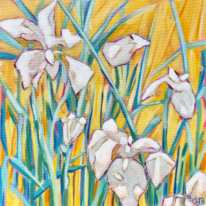 Cindy Kaufman&nbsp;• <em>Iris in Sunshine</em>&nbsp;• Acrylic on canvas mounted on cradled wood panel&nbsp;• 12″×&nbsp;12″&nbsp;• $250.00<a class="purchase" href="https://state-of-the-art-gallery.square.site/product/cindy-kaufman-iris-in-sunshine/4CI33LX3AZ6I4WQWXSP7JWGB" target="_blank">Buy</a>