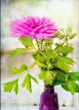 Pink Dahlia and Pyrple Vase by David Watkins