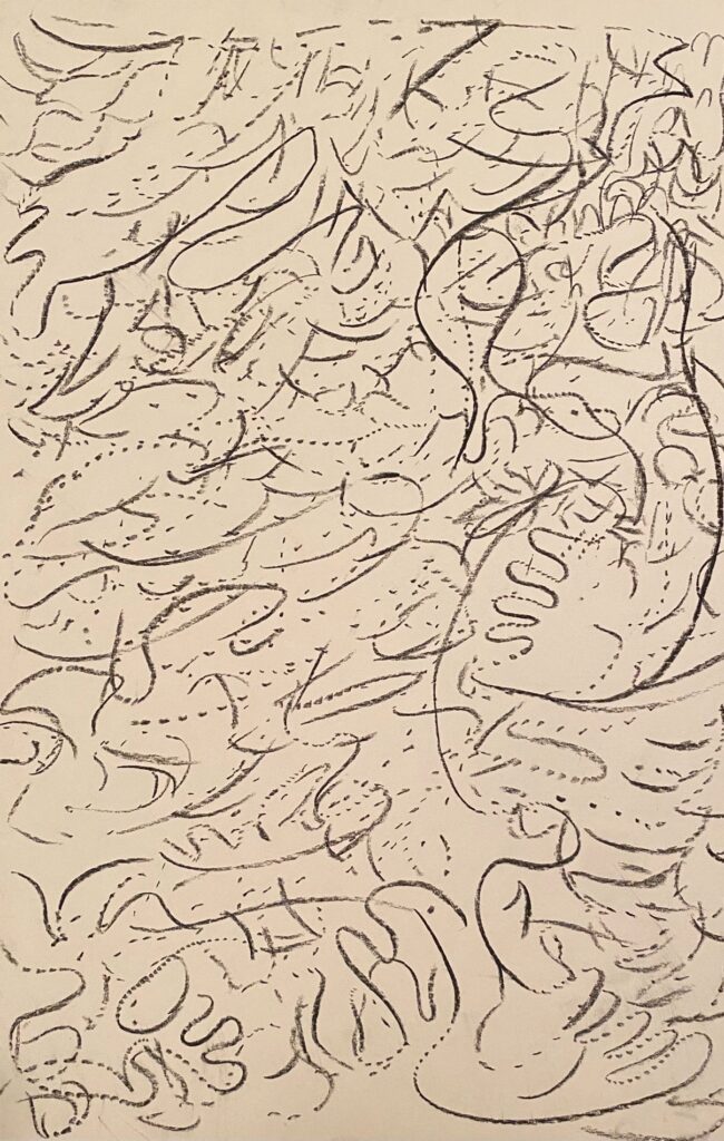 Ray Foody&nbsp;• <em>A24-etc</em>&nbsp;• Charcoal and graphite on paper&nbsp;• 11″×&nbsp;18″&nbsp;• NFS