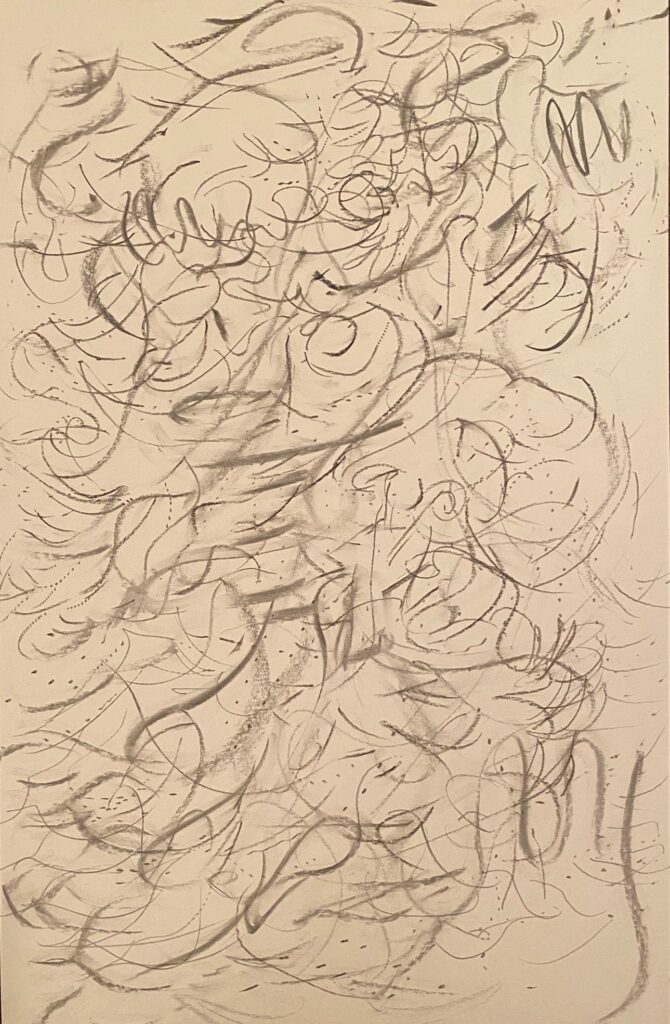 Ray Foody&nbsp;• <em>A24-fbc</em>&nbsp;• Charcoal and graphite on paper&nbsp;• 11″×&nbsp;18″&nbsp;• NFS