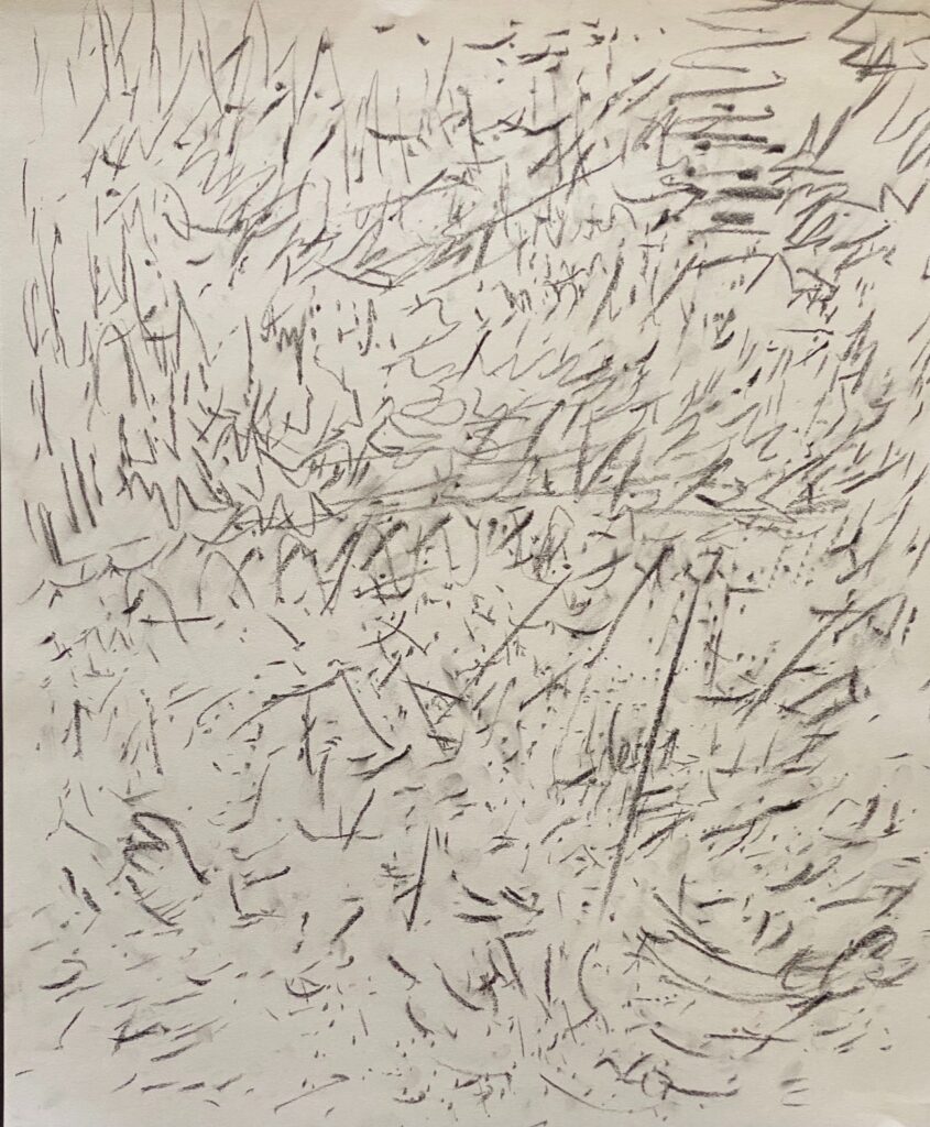 Ray Foody&nbsp;• <em>A25-hbc</em>&nbsp;• Charcoal and graphite on paper&nbsp;• 14″×&nbsp;18″&nbsp;• NFS