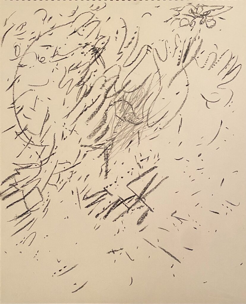 Ray Foody&nbsp;• <em>A25-ibc</em>&nbsp;• Charcoal and graphite on paper&nbsp;• 14″×&nbsp;18″&nbsp;• NFS