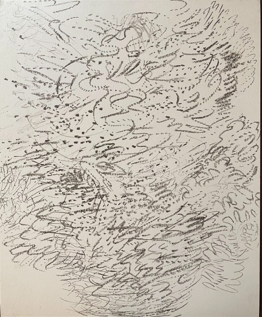 Ray Foody&nbsp;• <em>Untitled A23-bbc</em>&nbsp;• Charcoal and graphite on paper&nbsp;• 14″×&nbsp;18″&nbsp;• NFS