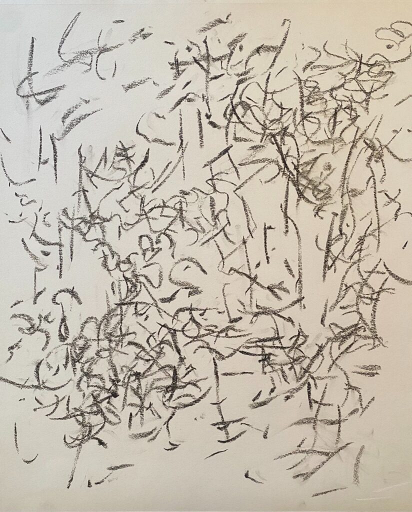 Ray Foody&nbsp;• <em>Untitled A23-cbc</em>&nbsp;• Charcoal and graphite on paper&nbsp;• 14″×&nbsp;18″&nbsp;• NFS