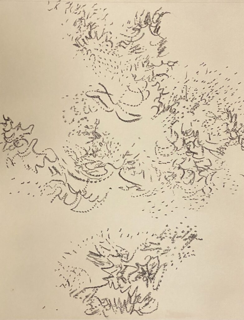 Ray Foody&nbsp;• <em>Untitled A26-lbc</em>&nbsp;• Charcoal and graphite on paper&nbsp;• 14″×&nbsp;18″&nbsp;• NFS