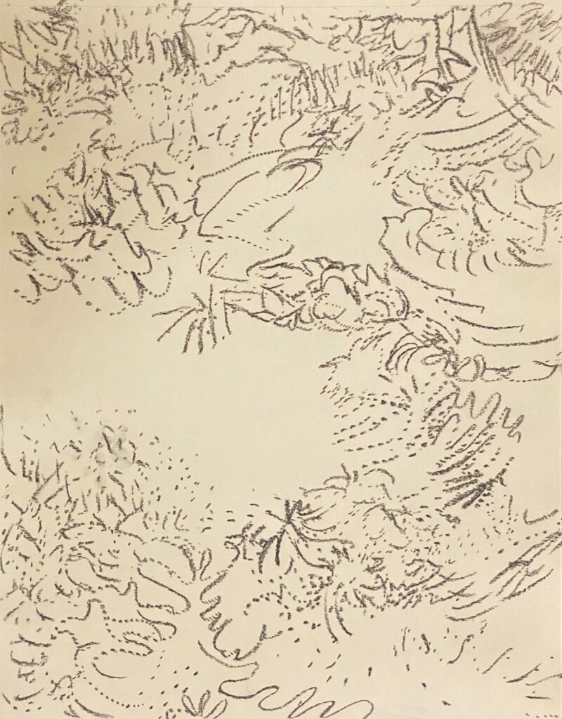 Ray Foody&nbsp;• <em>Untitled A26-obc</em>&nbsp;• Charcoal and graphite on paper&nbsp;• 14″×&nbsp;18″&nbsp;• NFS