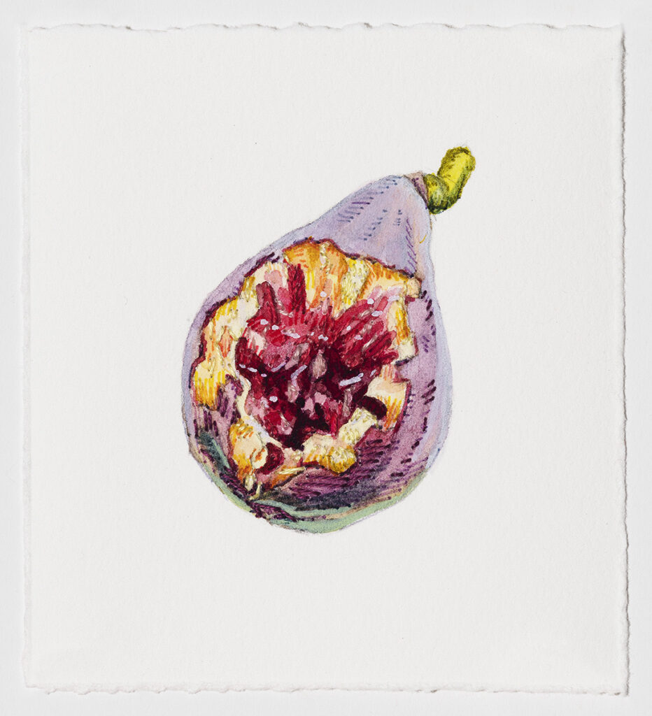 Dara Engler&nbsp;• <em>Bird-Eaten Fig</em>&nbsp;• Watercolor, embroidery, and colored pen on paper&nbsp;• 3½″×&nbsp;4″&nbsp;• $200.00