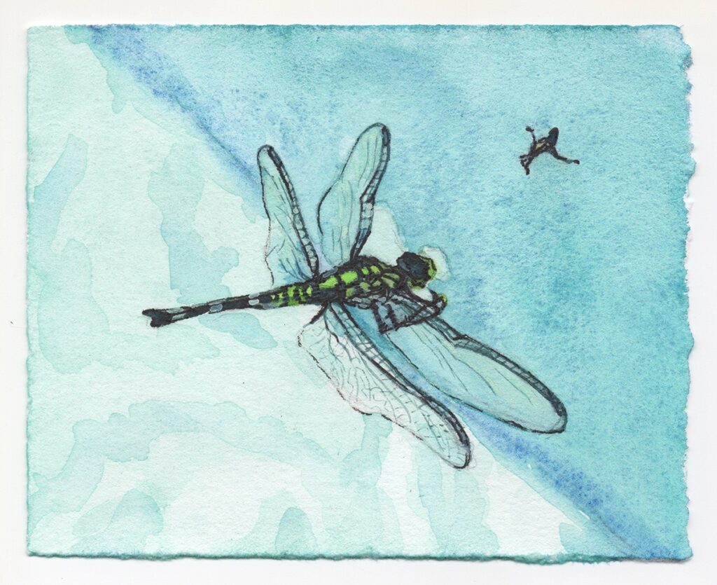 Dara Engler&nbsp;• <em>Dragonfly</em>&nbsp;• Watercolor and colored pen on paper&nbsp;• 4¾″×&nbsp;4″&nbsp;• $100.00