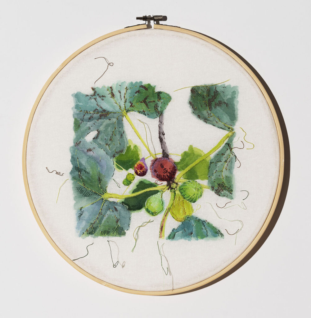 Dara Engler&nbsp;• <em>Figs</em>&nbsp;• Acrylic and embroidery on fabric&nbsp;• 12″×&nbsp;12″&nbsp;• $700.00