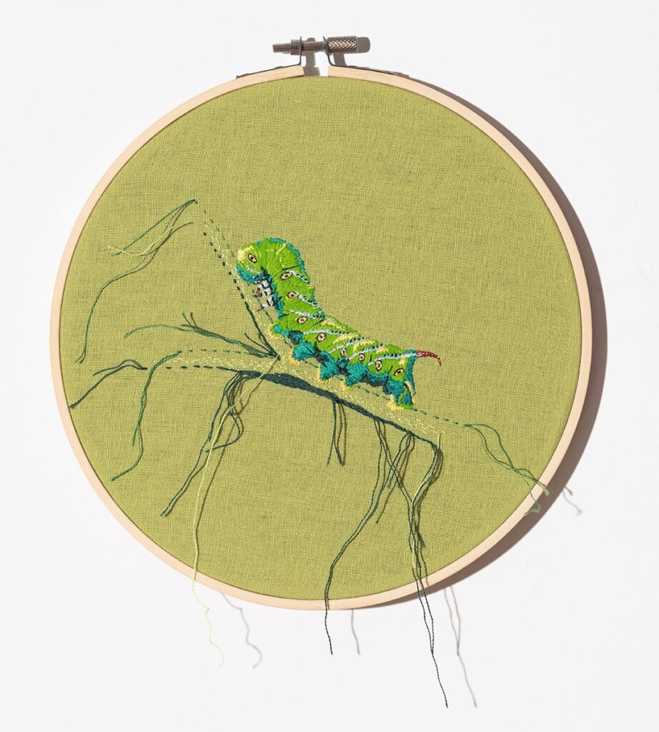 Dara Engler&nbsp;• <em>Hornworm</em>&nbsp;• Embroidery on fabric&nbsp;• 8″×&nbsp;8″&nbsp;• $500.00