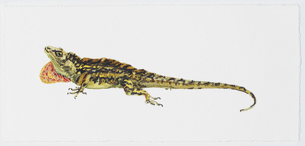 Dara Engler&nbsp;• <em>Lizard 2</em>&nbsp;• Watercolor and embroidery on paper&nbsp;• 9¼″×&nbsp;4¼″&nbsp;• $250.00