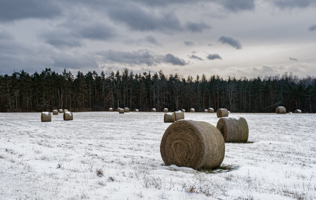 Lindsey Glover&nbsp;• <em>Bales (Burdett)</em>&nbsp;• Digital pigment print on Moab Entrada paper&nbsp;• 14¼″×&nbsp;9″&nbsp;• $575.00