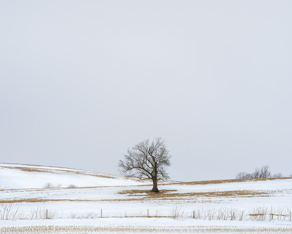 Lindsey Glover&nbsp;• <em>Farm Field (Elbridge)</em>&nbsp;• Digital pigment print on Moab Entrada paper&nbsp;• 15″×&nbsp;12″&nbsp;• $625.00