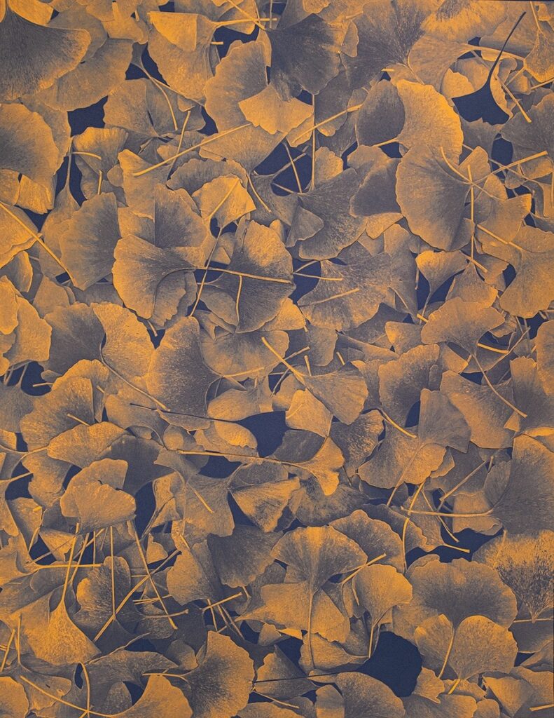 Lindsey Glover&nbsp;• <em>First Frost, Fallen Gingko Leaves</em>&nbsp;• Digital pigment print on Japanese washi paper&nbsp;• 17″×&nbsp;22″&nbsp;• $725.00