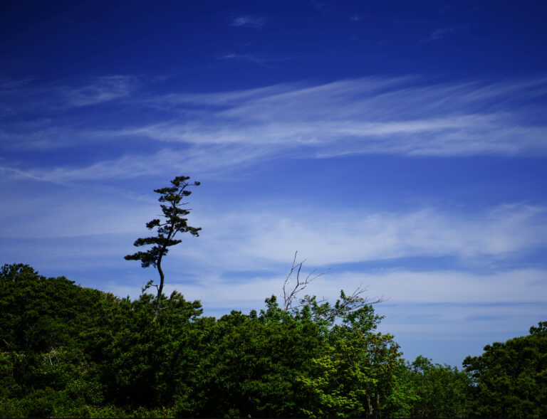 Block Island, Rhode Island by Susan C. Larkin