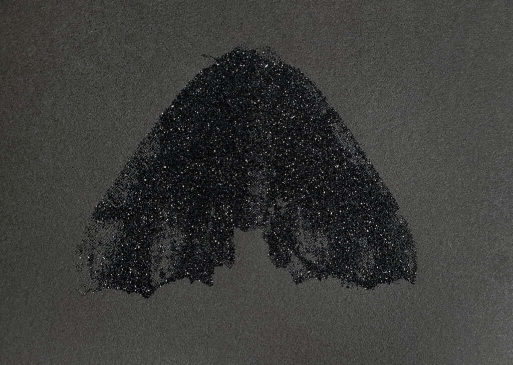 Christine Chin&nbsp;• <em>Black Glitter Moth (Pero Honestaria)</em>&nbsp;• Silkscreen&nbsp;• 10″×&nbsp;8″&nbsp;• $60.00