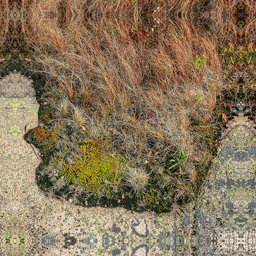 David Watkins&nbsp;• <em>At the End of the Wonderland Trail, Sea Wall, Mt. Desert Island, ME</em>&nbsp;• Archival pigment print, framed and matted&nbsp;• 18″×&nbsp;18″&nbsp;• $200.00<a class="purchase" href="https://state-of-the-art-gallery.square.site/product/david-watkins-at-the-end-of-the-wonderland-trail-sea-wall-mt-desert-island-me/SA7CTPHE7YSOV3K7OZ6NIHJF" target="_blank">Buy</a>
