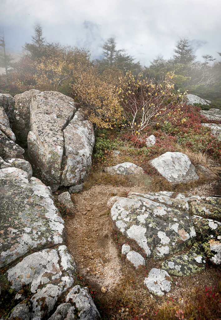 David Watkins&nbsp;• <em>Atmosphere at Elevation, Cadillac Mountain, Acadia NP</em>&nbsp;• Archival pigment print, framed and matted&nbsp;• 16″×&nbsp;20″&nbsp;• $185.00<a class="purchase" href="https://state-of-the-art-gallery.square.site/product/david-watkins-atmosphere-at-elevation-cadillac-mountain-acadia-np/VFB3DPOICL4CFWEZDHW6XM7T" target="_blank">Buy</a>