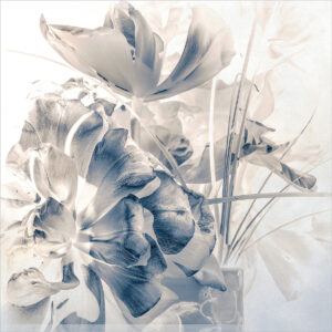 David Watkins&nbsp;• <em>Bouquet Inverted</em>&nbsp;• Archival pigment print, framed and matted&nbsp;• 14″×&nbsp;18″&nbsp;• $185.00<a class="purchase" href="https://state-of-the-art-gallery.square.site/product/david-watkins-bouquet-inverted/EI26HEHJAFDMAPID4WXFDK2Y" target="_blank">Buy</a>