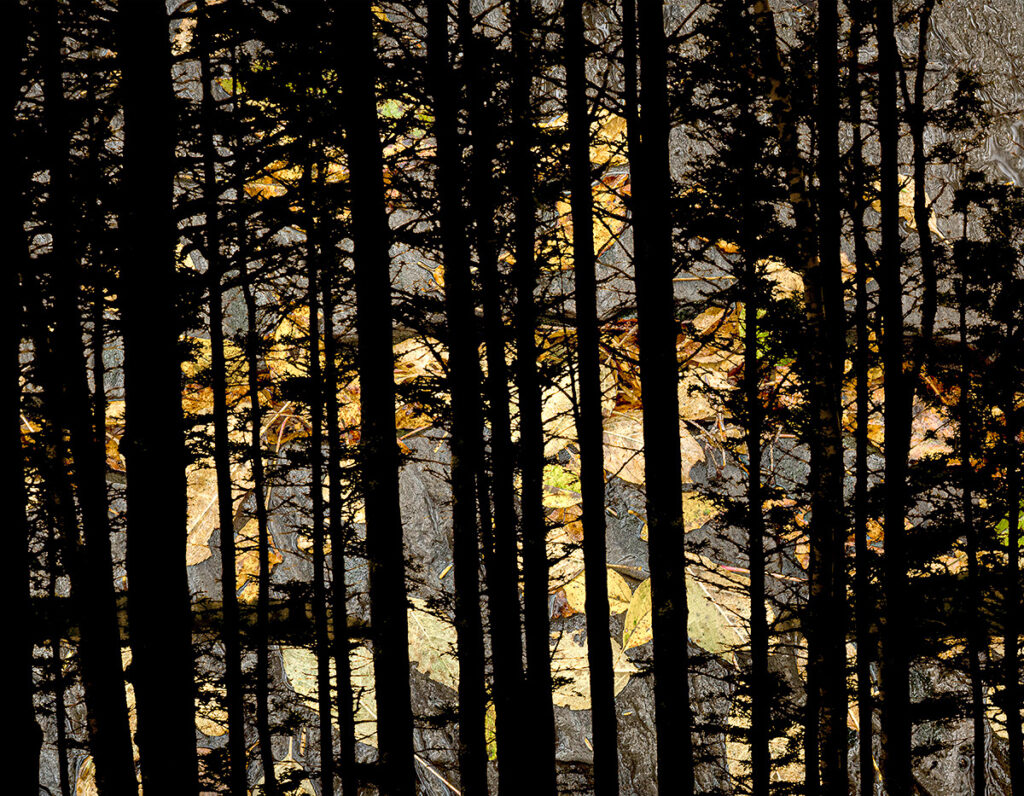 David Watkins&nbsp;• <em>One or the Other</em>&nbsp;• Archival pigment print, framed and matted&nbsp;• 24″×&nbsp;20″&nbsp;• $235.00<span class="sold"></span>
