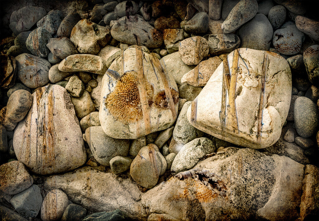 David Watkins&nbsp;• <em>Paint Me, Hide Me,Send Me On</em>&nbsp;• Archival pigment print, framed and matted&nbsp;• 14″×&nbsp;18″&nbsp;• $185.00<a class="purchase" href="https://state-of-the-art-gallery.square.site/product/david-watkins-paint-me-hide-me-send-me-on/DDYRRGPWH6WZ3PAAACXPUITK" target="_blank">Buy</a>