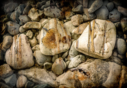David Watkins&nbsp;• <em>Paint Me, Hide Me,Send Me On</em>&nbsp;• Archival pigment print, framed and matted&nbsp;• 14″×&nbsp;18″&nbsp;• $185.00<a class="purchase" href="https://state-of-the-art-gallery.square.site/product/david-watkins-paint-me-hide-me-send-me-on/DDYRRGPWH6WZ3PAAACXPUITK" target="_blank">Buy</a>
