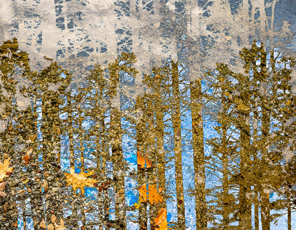 David Watkins&nbsp;• <em>Trees, Leaves and Gravel</em>&nbsp;• Archival pigment print, framed and matted&nbsp;• 24″×&nbsp;20″&nbsp;• $235.00<a class="purchase" href="https://state-of-the-art-gallery.square.site/product/david-watkins-trees-leaves-and-gravel/UYPWC462WXYZFPQMVTNCDBW6" target="_blank">Buy</a>