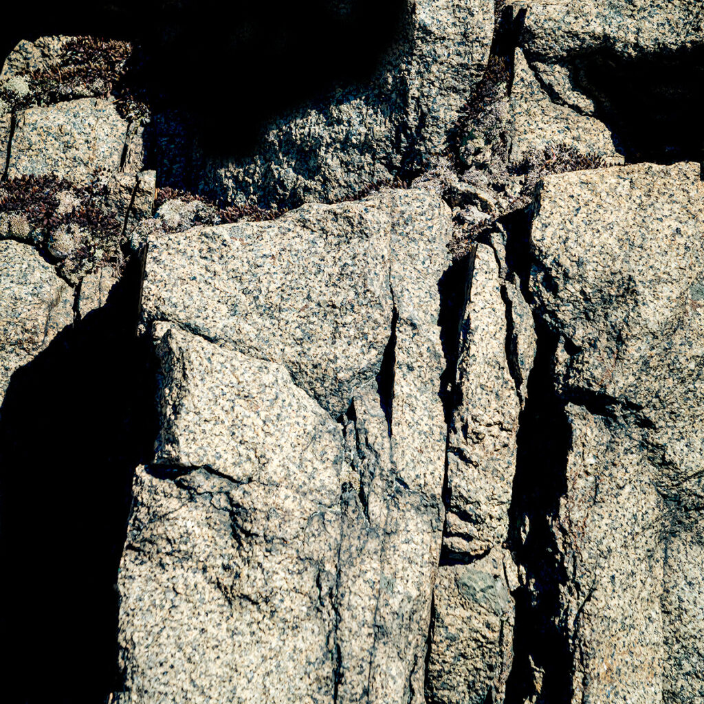 David Watkins&nbsp;• <em>Wall 1</em>&nbsp;• Archival pigment print, framed and matted&nbsp;• 18″×&nbsp;18″&nbsp;• $200.00<a class="purchase" href="https://state-of-the-art-gallery.square.site/product/david-watkins-wall-1/LTVTE5ARNDRJKWQUQLK24ZDY" target="_blank">Buy</a>