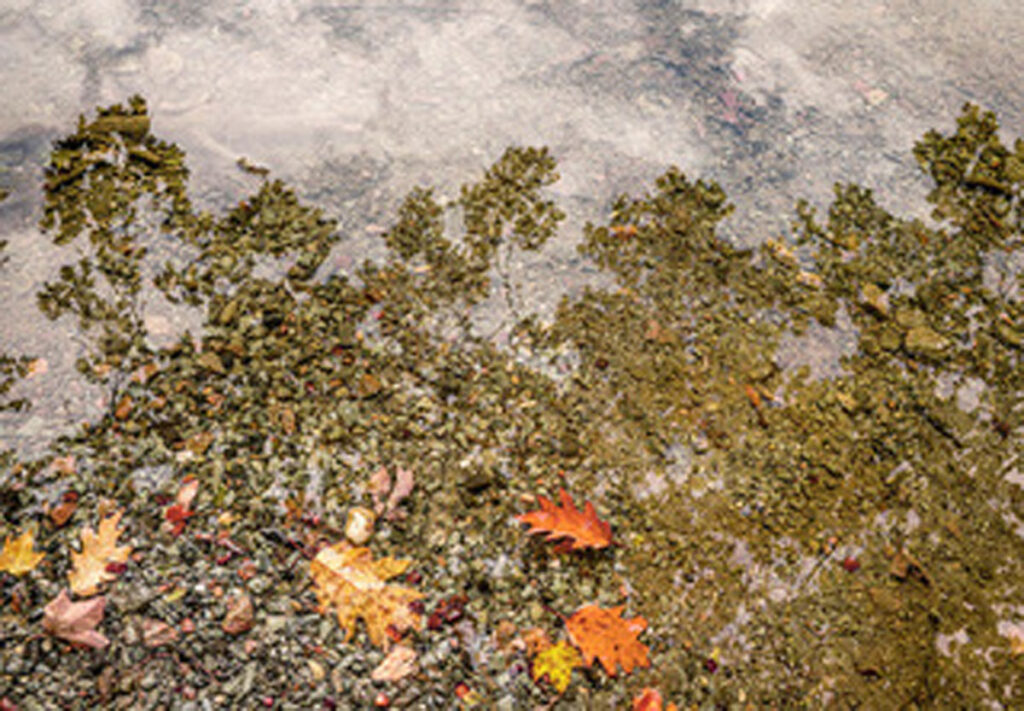 David Watkins&nbsp;• <em>Transitions</em>&nbsp;• Archival pigment print, framed and matted&nbsp;• 20″×&nbsp;16″×&nbsp;185″&nbsp;• NFS