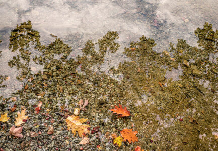 David Watkins&nbsp;• <em>Transitions</em>&nbsp;• Archival pigment print, framed and matted&nbsp;• 20″×&nbsp;16″×&nbsp;185″&nbsp;• NFS